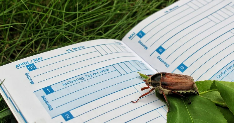 Le calendrier d'entretien mois par mois