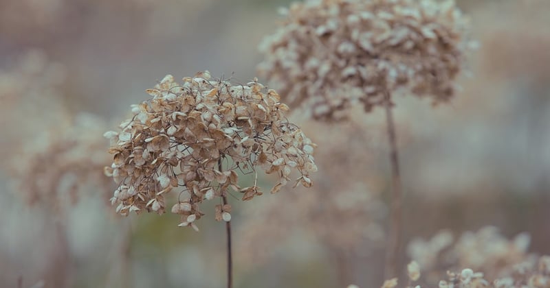 10 astuces bricolage pour entretenir son jardin en hiver