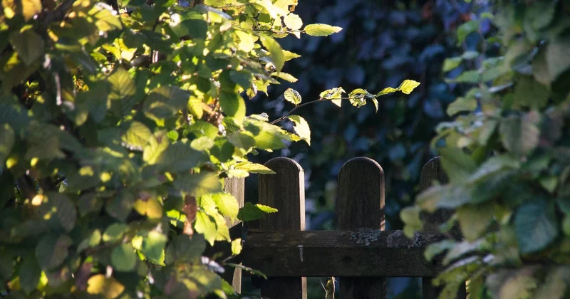 Mon voisin n'entretient pas son terrain : que faire ?