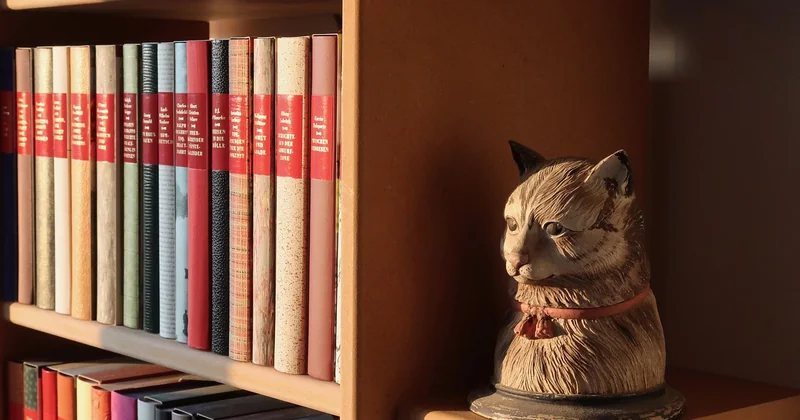 Aménager le salon en vertical : le chat veut de la hauteur