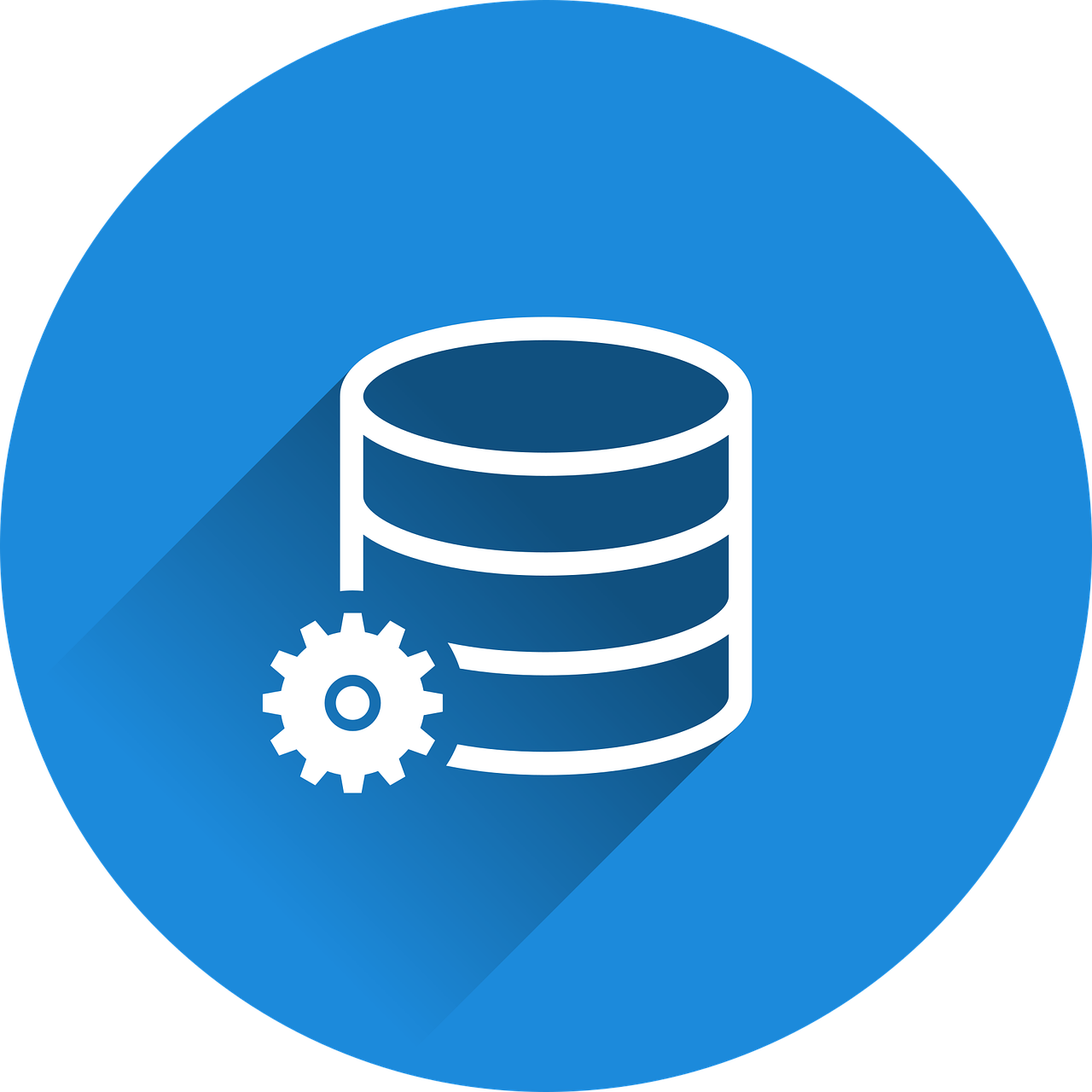 service professionnel de gestion immobilière pour optimiser la valeur et l'entretien de vos biens.